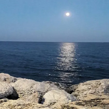 Albatros - Torremolinos