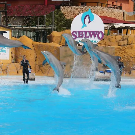 Appartement Albatros -