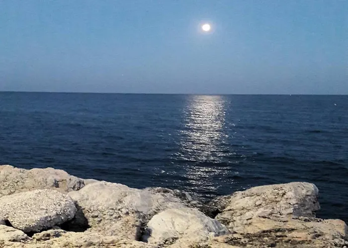 Albatros - トレモリノス