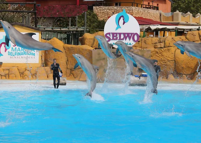 Appartamento Albatros -